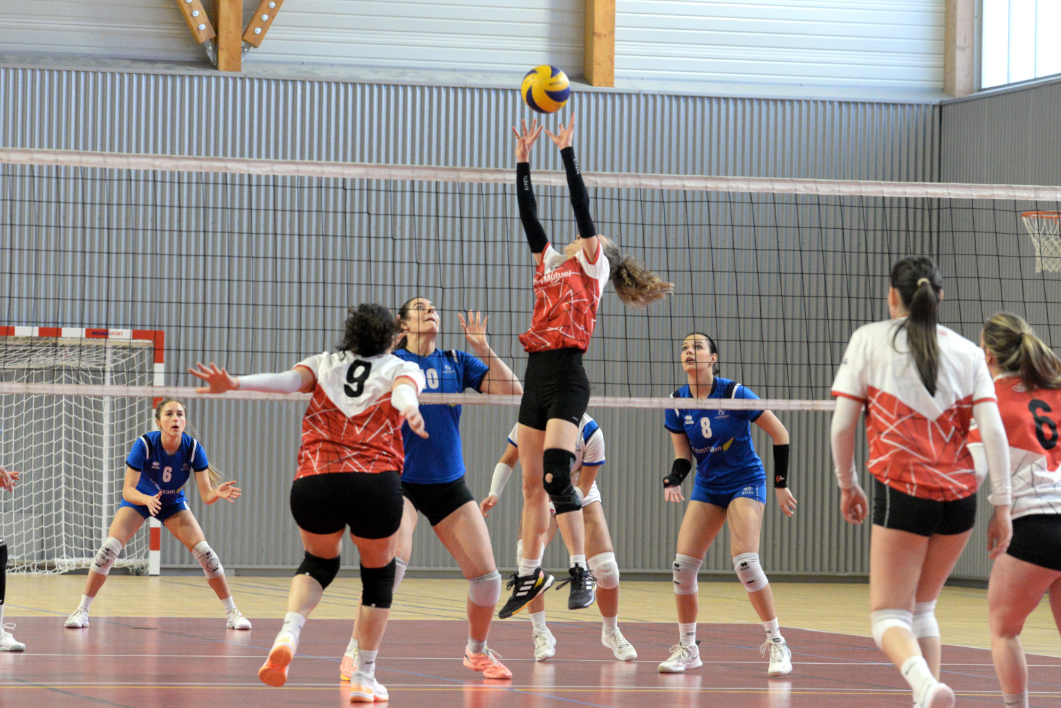 Pré-Nat: Le CAME s'incline face à Grand Nancy