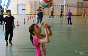 Volley : les enfants de l’élémentaire de Golbey montent au filet 