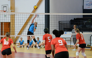 6522967e3a24b_VAL1308001.jpg