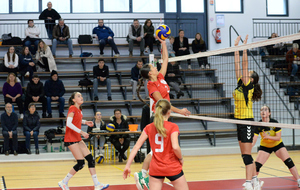 6550ffe119044_VAL3136001.jpg