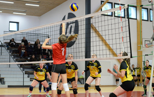 6550ffe1d0293_VAL3144001.jpg