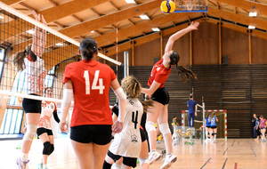 6a25377943891_DSC0083874.JPG