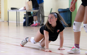 6a2e95bdea415_DSC0501917.JPG