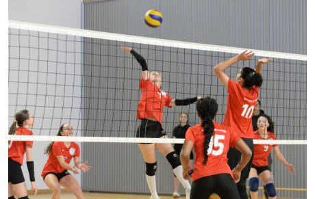 M15 : Du talent au bout des doigts !