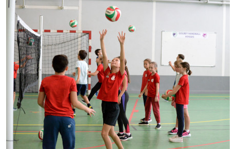 L'école de volley fait sa rentrée !