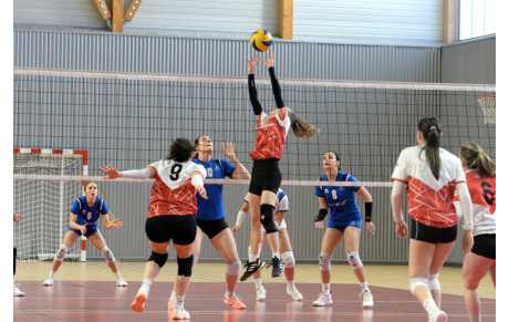 Pré-Nat: Le CAME s'incline face à Grand Nancy