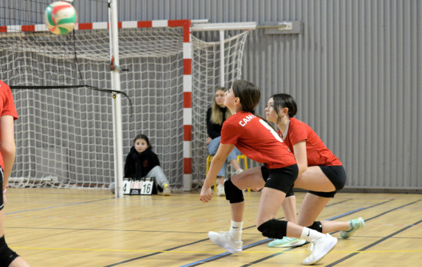 M13 : CAME1 - CAME2 - FROUARD